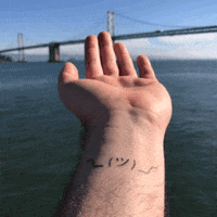 bay bridge shrug GIF by Product Hunt