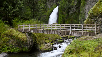 wahclella falls tanner creek GIF by Travel Oregon