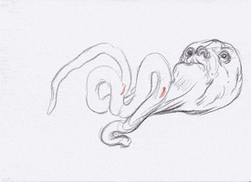 life love GIF by Alex Boya