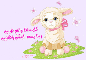 majd  GIF