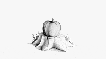 Halloween Fall GIF by Jonah Primiano