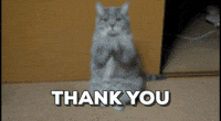 Among-us-cat GIFs - Get the best GIF on GIPHY
