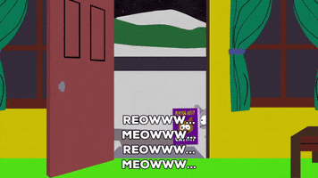 cats mr. kitty GIF by South Park 