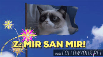 followyourpet lol kitty lustig katze GIF