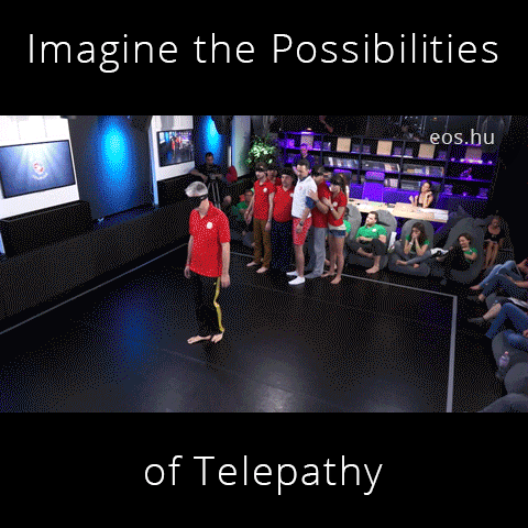 sandorlengyel  GIF