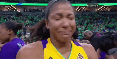 Game 5 Crying GIF by WNBA