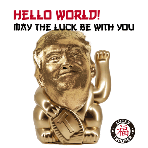 bernhardrauscher election GIF