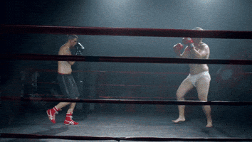 boxing match GIF by Circa Survive