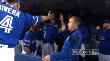 High Five Toronto Blue Jays GIF by MLB