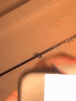 200.gif?cid=fc005b083307580c0a7bfedc72f9de4453ee5b247978621c&rid=200.gif&ct=g