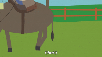 horse fart GIF by South Park 