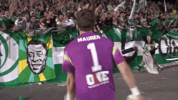 jimmy maurer GIF by New York Cosmos