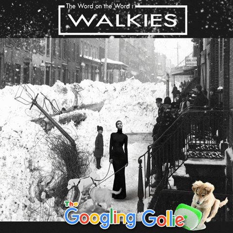 GIF by League of Crafty Canines