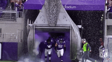 Minnesota Vikings GIF by NFL