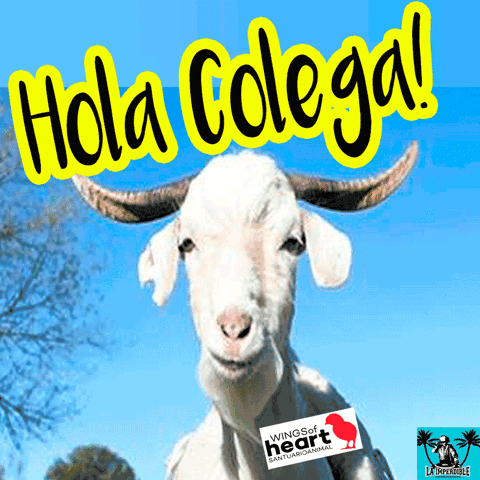 asor madrid domingo ultimo wings of heart GIF