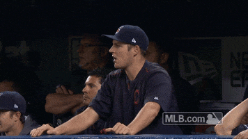 hands up dugout celebration GIF by MLB