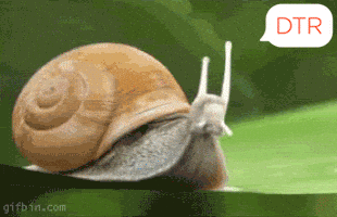 Rocket Snail GIF by DTR