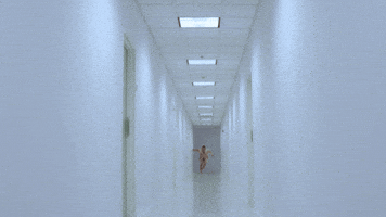 Hallway GIFs - Find & Share on GIPHY