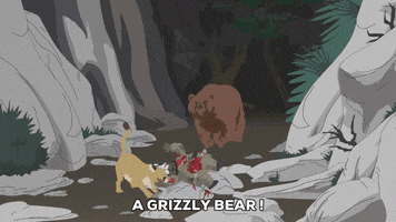 bear lion GIF by South Park 