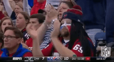 houston texans nfl fans GIF by NFL