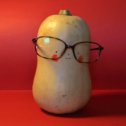 Squash GIFs Find & Share on GIPHY