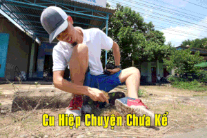 fa cuhiepass GIF