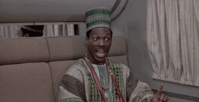 LJ_s happy new year eddie murphy coming to america GIF