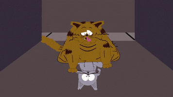 cat mr. kitty GIF by South Park 