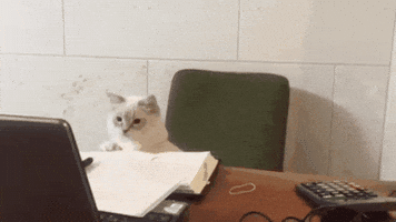 yw5uev9sdw5pb3zhqg1hawwucnu  GIF
