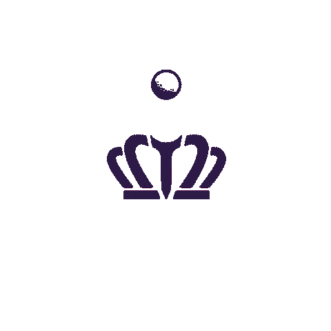 Pga Tour Golf Sticker by Truist