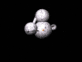 Space Ship GIF