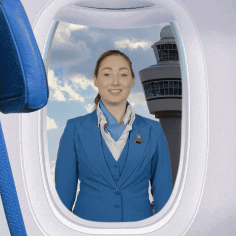 Knock Knock Travel GIF by KLM