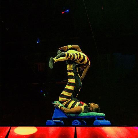 Ringling Bros Circus GIF by Ringling Bros. and Barnum & Bailey