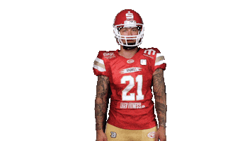 Football Sport Sticker by John Garve