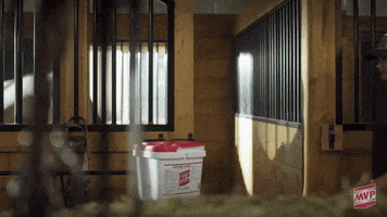 MVP GIF