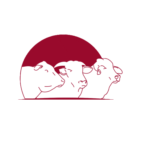 Central Bela Vista Sticker