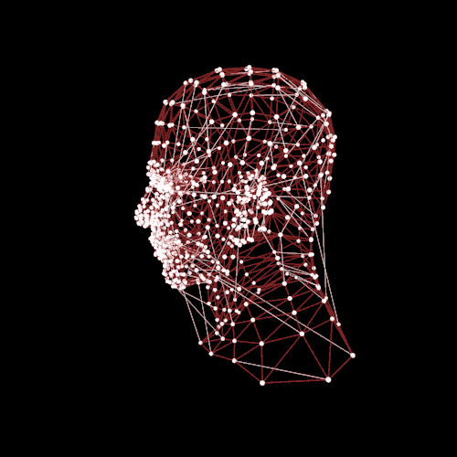 3D Head GIF by Pasr