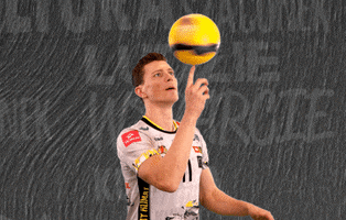Team Volleyball GIF by trefl_gdansk