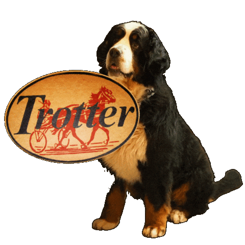 Dog Cane Sticker by texassaloon