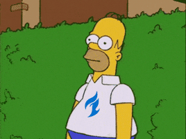 Homer Simpson Burn GIF by Dallas Fuel