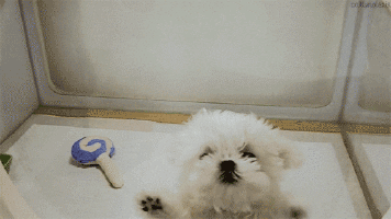 awe freakout GIF by WE tv