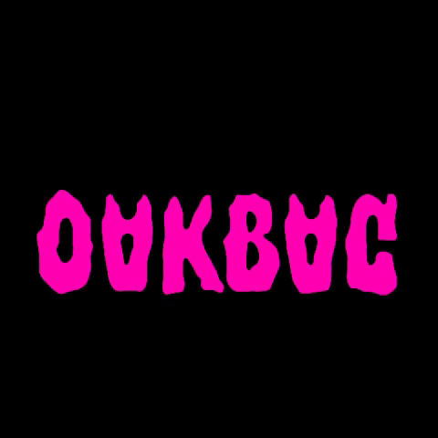 Skate Norway GIF by OAKBAGsktbs