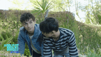 you rule by Dobre Brothers Bright Fight GIF Library