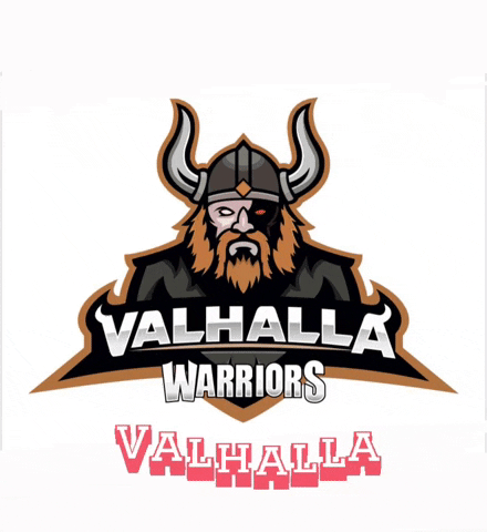 Abhinav GIF by Valhalla Warriors