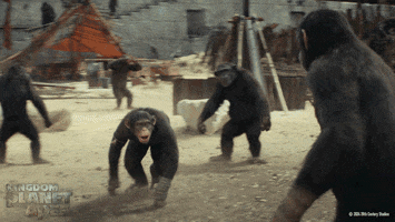 Planet Of The Apes Hug GIF by 20th Century Studios
