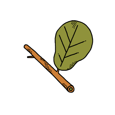 tree plant Sticker by Andrew Onorato