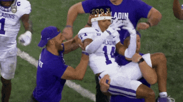 Fcs Football GIF by NCAA Championships