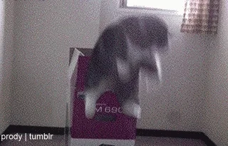 never ending GIF