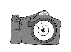 Salud Software Sticker