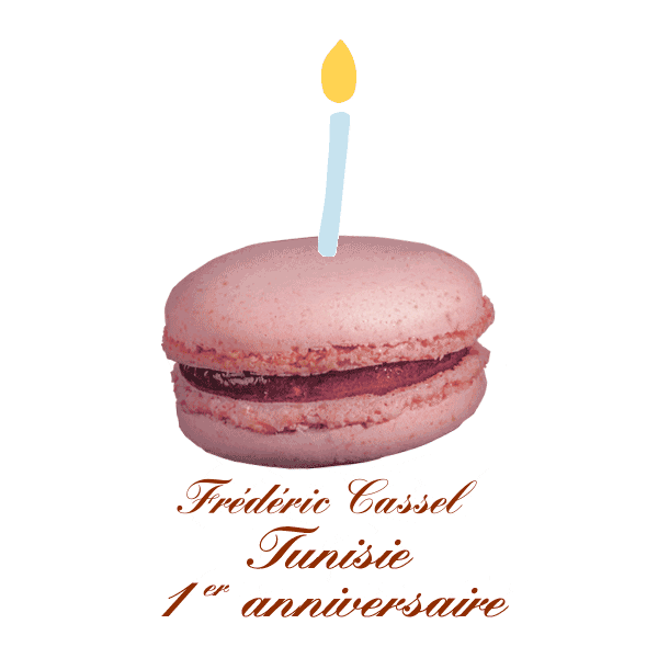 Fc Tunis Frederic Cassel Lac 2 Sticker by Frédéric Cassel Tunis